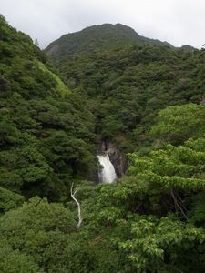 f:id:amamu:20180416215007j:image:w220