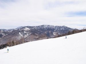 f:id:amamu:20190303170354j:plain