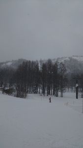 f:id:amamu:20200307215752j:plain