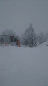 f:id:amamu:20200307220524j:plain