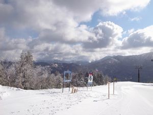 f:id:amamu:20200321234227j:plain f:id:amamu:20200321234227j:plain