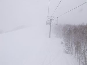 f:id:amamu:20200321234248j:plain f:id:amamu:20200321234248j:plain