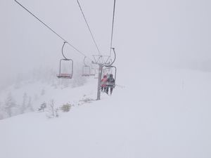 f:id:amamu:20200321234322j:plain f:id:amamu:20200321234322j:plain