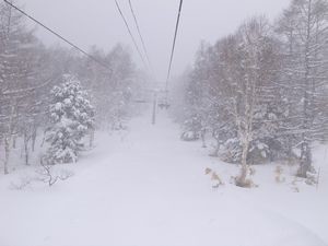 f:id:amamu:20200321234403j:plain f:id:amamu:20200321234403j:plain