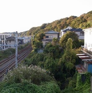 f:id:amamu:20201110200229j:plain