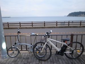 f:id:amamu:20201125222758j:plain