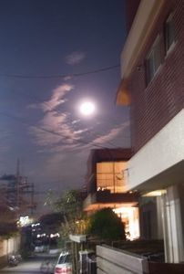 f:id:amamu:20201130231906j:plain