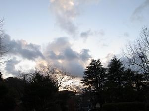 f:id:amamu:20210201215452j:plain