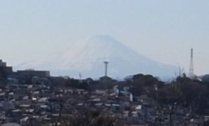 f:id:amamu:20210220224243j:plain