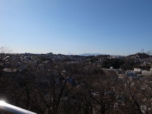 f:id:amamu:20210220224305j:plain