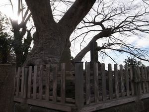 f:id:amamu:20210226133757j:plain