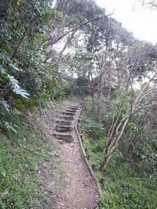 f:id:amamu:20210226133936j:plain