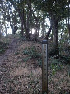 f:id:amamu:20210226134026j:plain