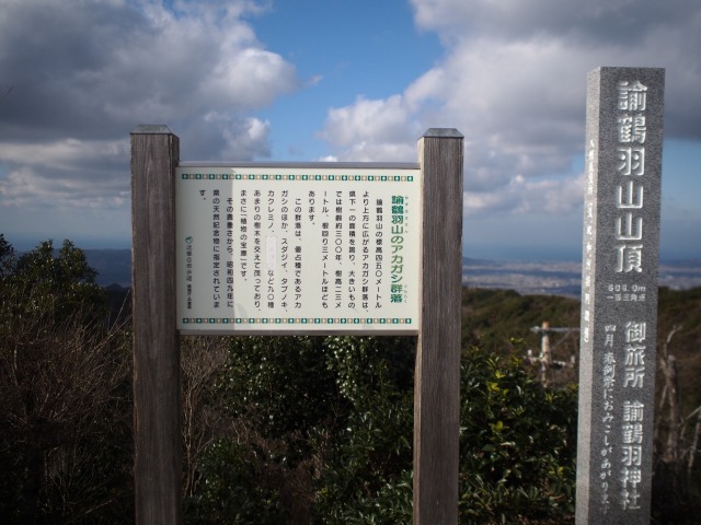 f:id:amanada-awaji:20161231175012j:plain f:id:amanada-awaji:20161231175012j:plain
