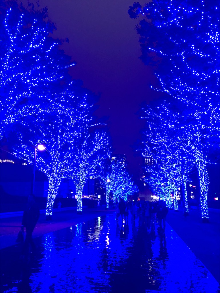 東京渋谷のイルミネーション 青の洞窟 にいってきました 柑橘パッショナート