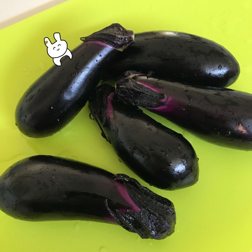 ナス