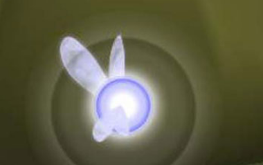 ナビィ