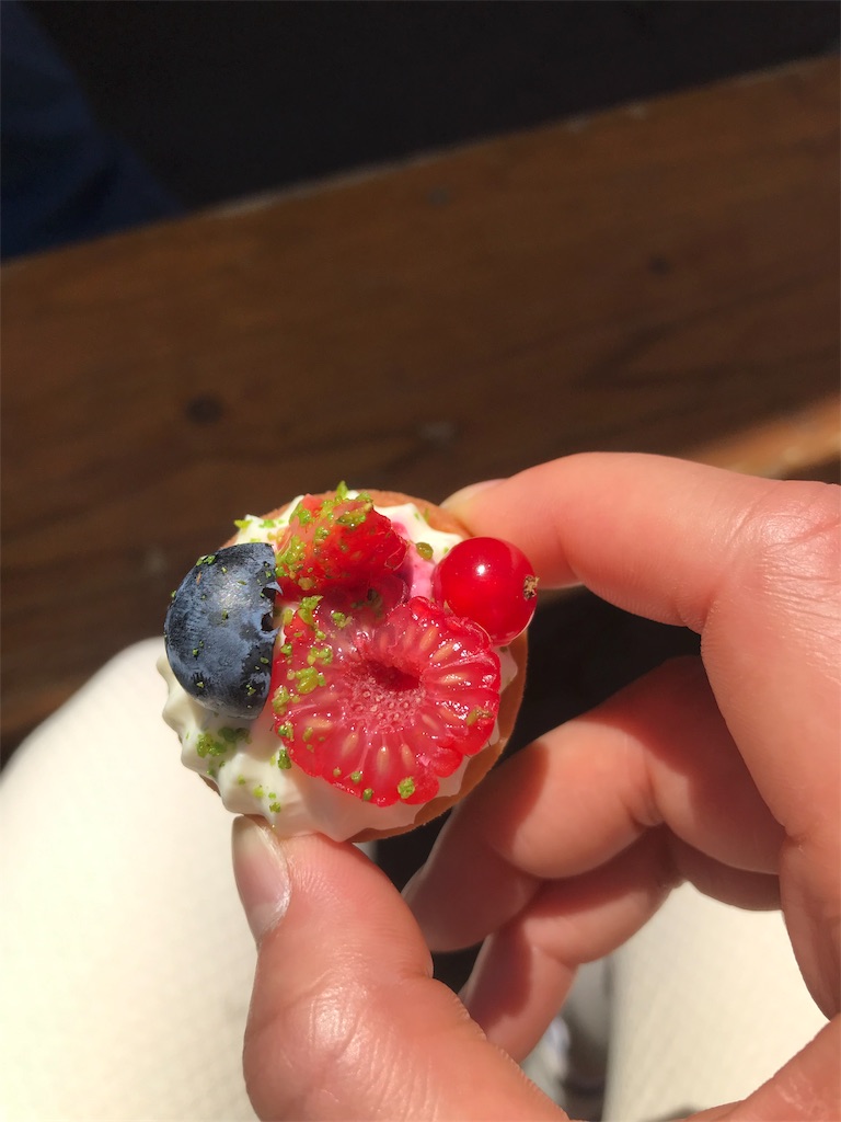 f:id:amandine-tomoko:20190609012737j:image f:id:amandine-tomoko:20190609012737j:image