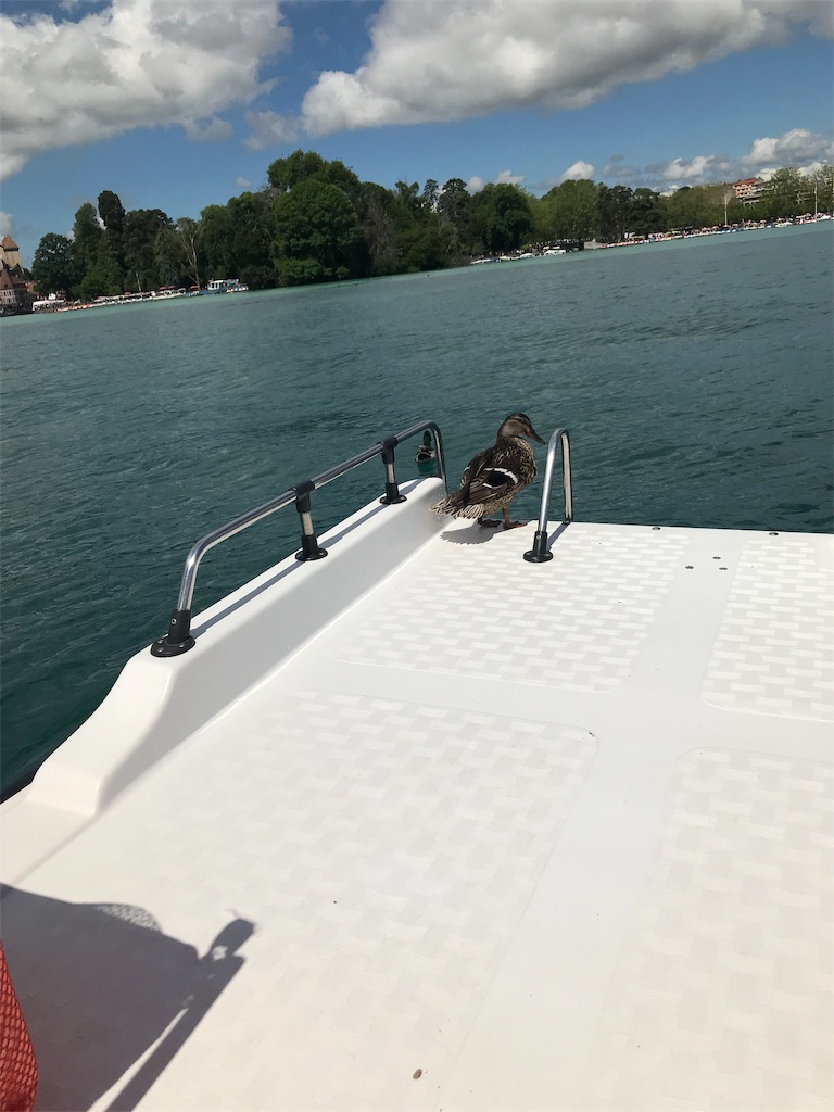 f:id:amandine-tomoko:20190617002502j:image