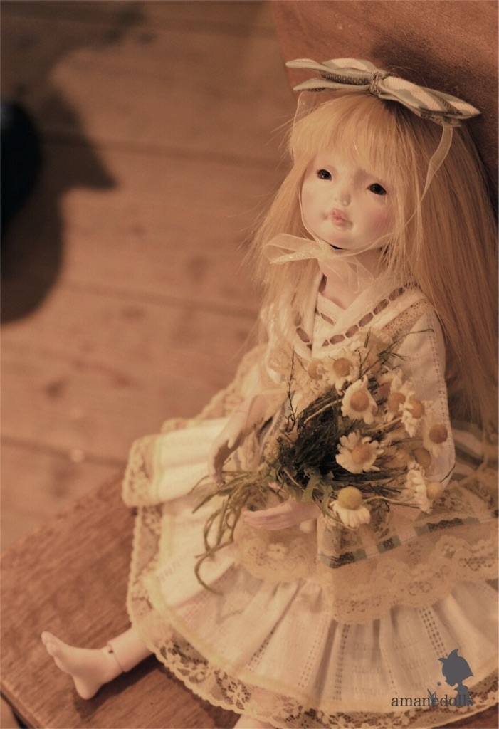 f:id:amanedoll:20160814100438j:image