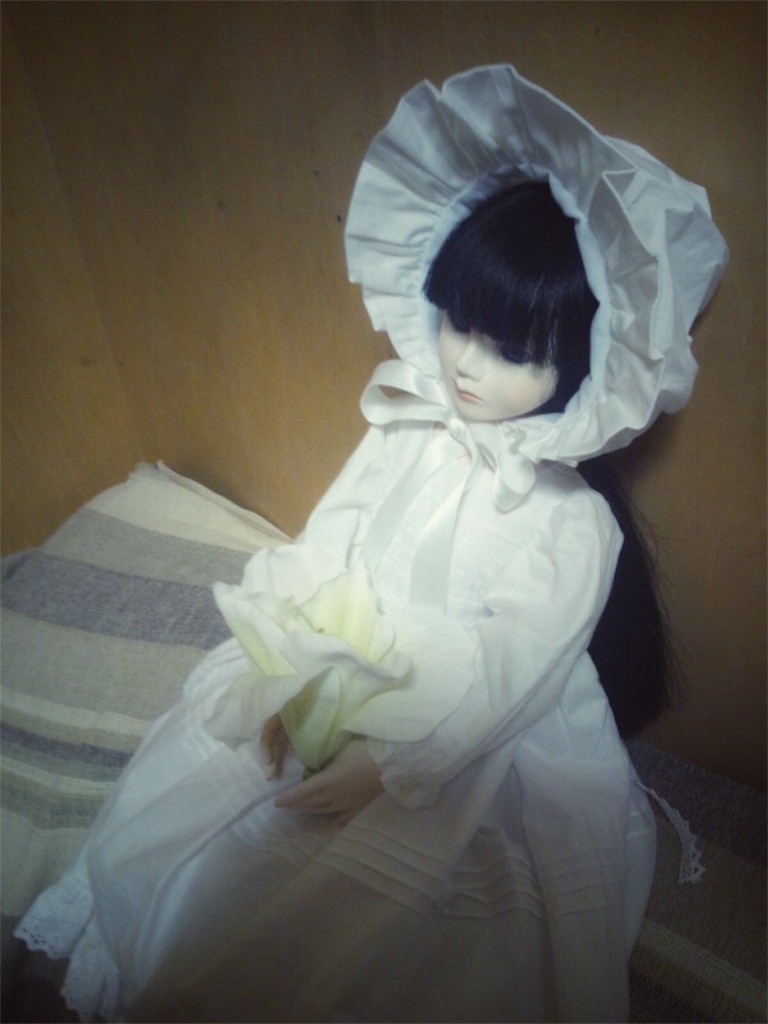 f:id:amanedoll:20161202194453j:image