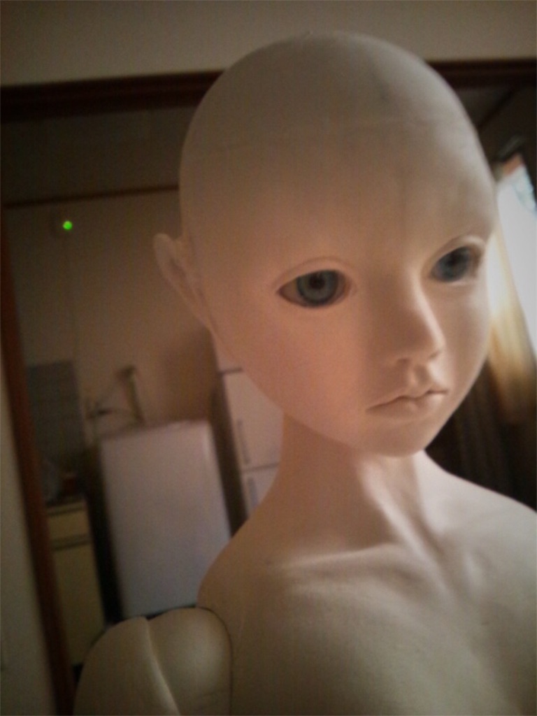 f:id:amanedoll:20161202194620j:image