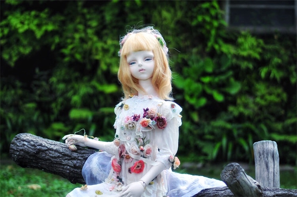 f:id:amanedoll:20180902030855j:image