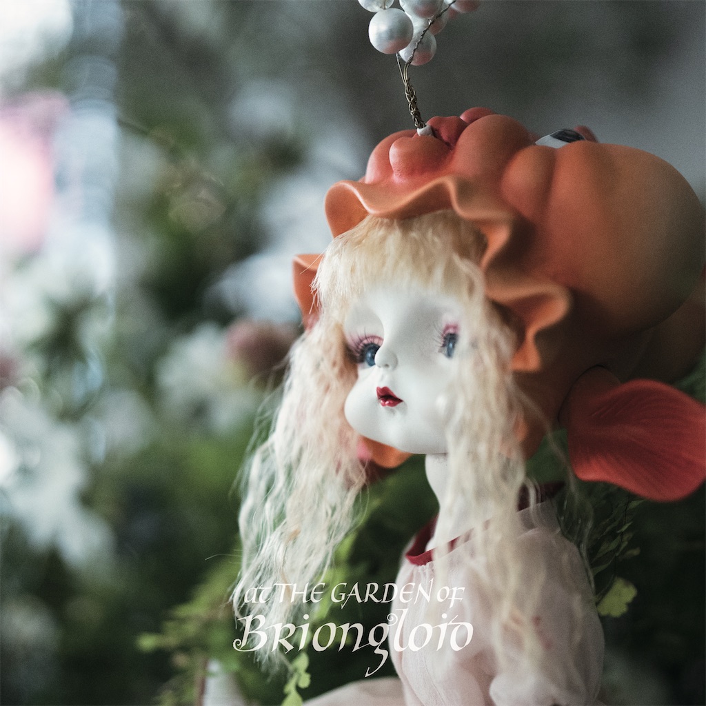 f:id:amanedoll:20240118201703j:image f:id:amanedoll:20240118201703j:image