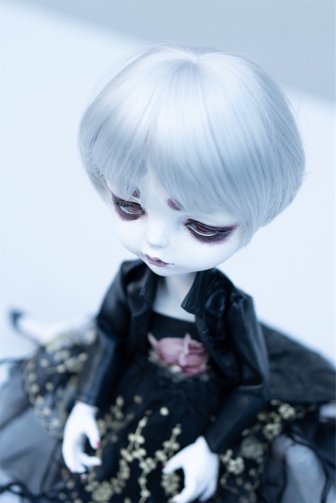 f:id:amanedoll:20260423194337j:image