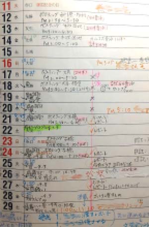 f:id:amanekouko:20200501005013j:plain