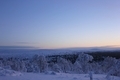 re_IMG_7071.jpg