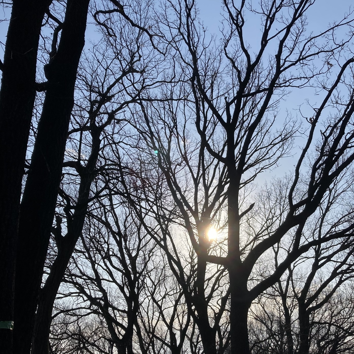 f:id:amano4103:20210212222738j:plain