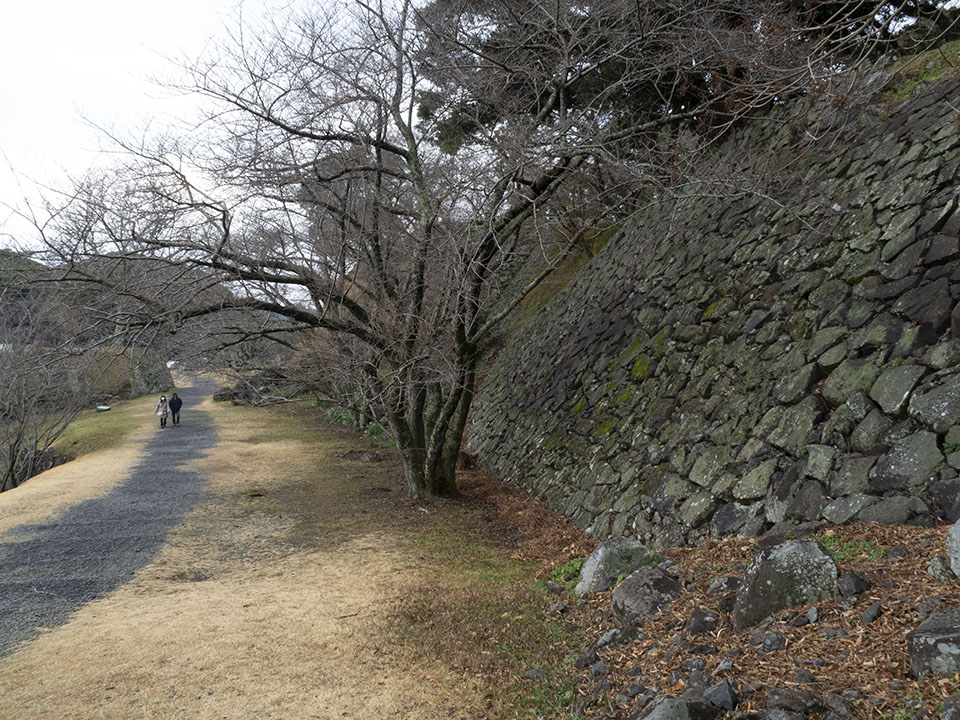 f:id:amano_kaeru:20220103194504j:plain