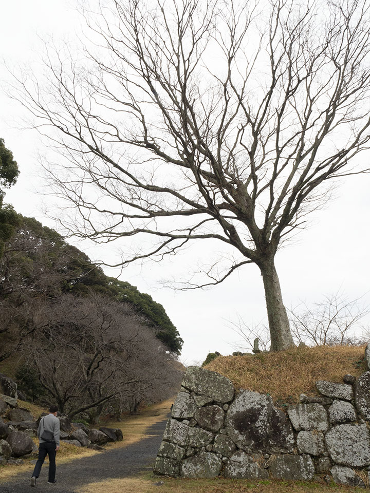 f:id:amano_kaeru:20220103194529j:plain