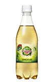コカ・コーラ カナダドライ ジンジャーエール 500ml×24本 コカ・コーラ カナダドライ ジンジャーエール 500ml×24本