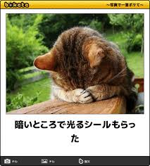 f:id:amano_kuninobu:20190506170612j:plain
