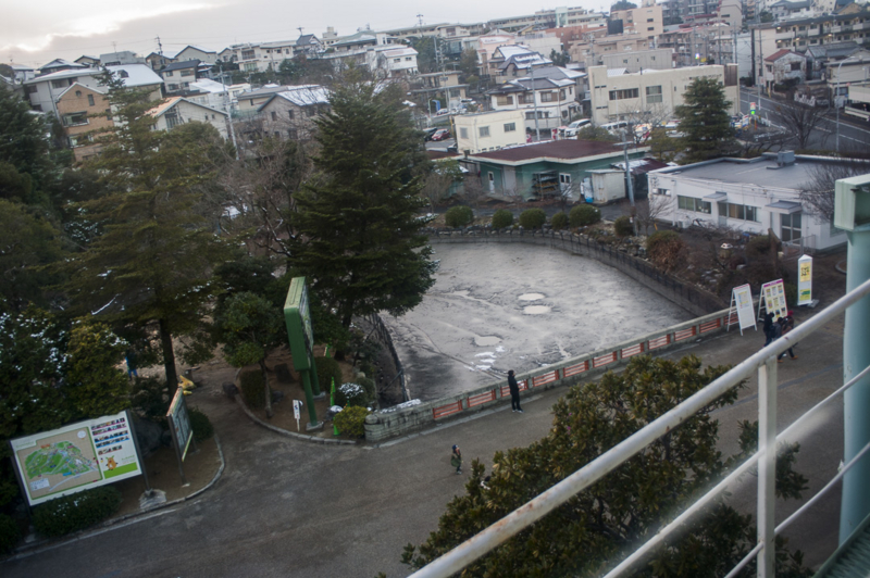 東山動植物園の雪解け