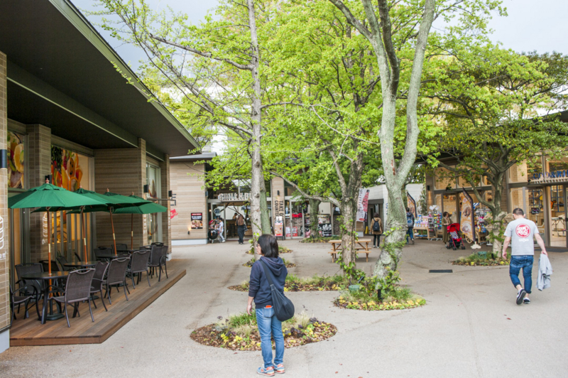 f:id:amano_shintaro:20170501173530j:plain