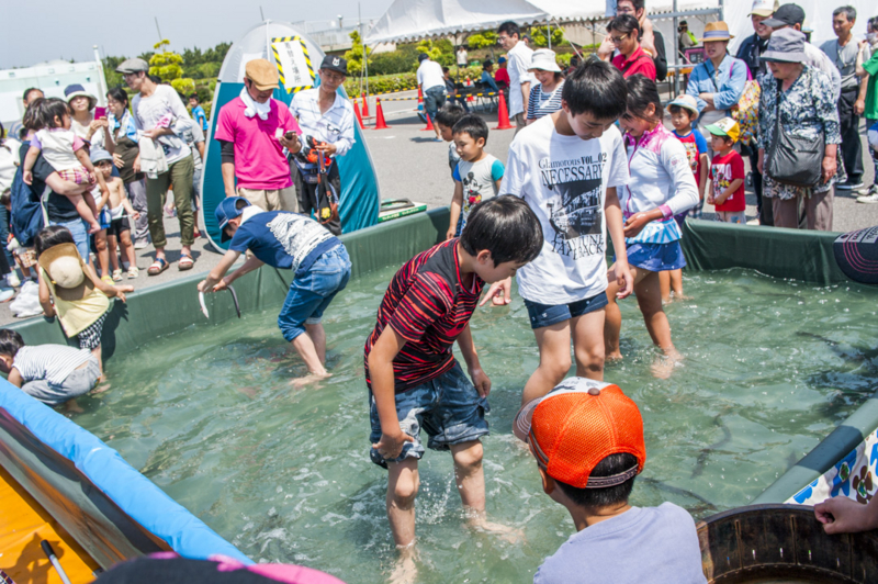 f:id:amano_shintaro:20170521221549j:plain