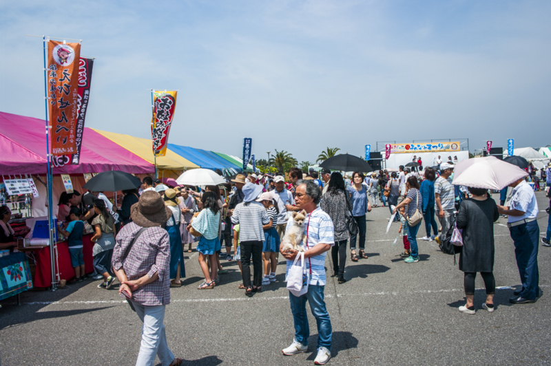 f:id:amano_shintaro:20170521221600j:plain