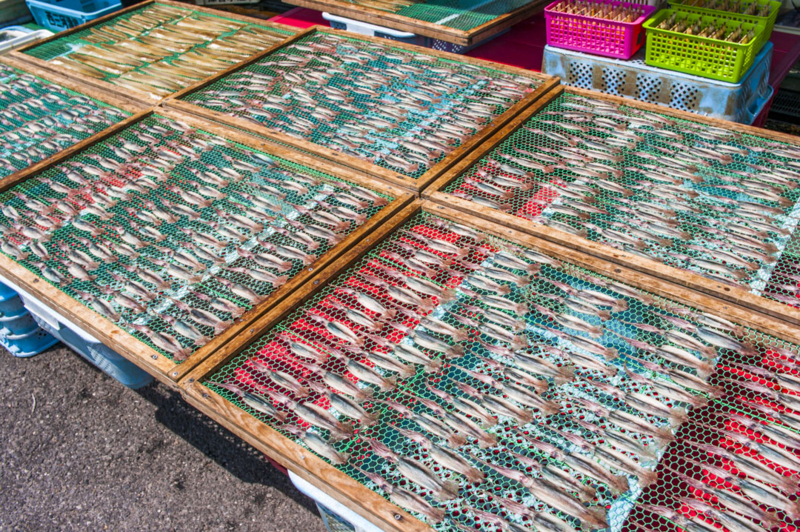 f:id:amano_shintaro:20170521221603j:plain