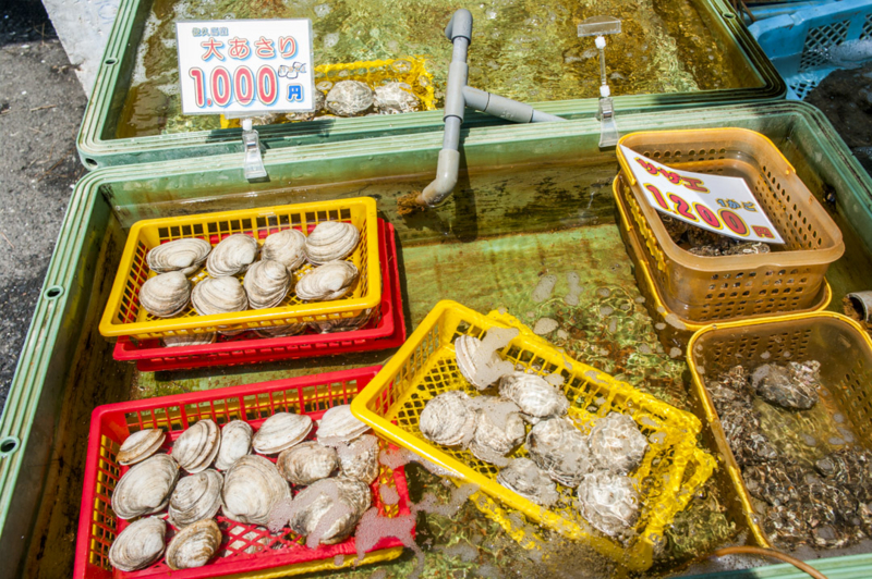 f:id:amano_shintaro:20170521221605j:plain