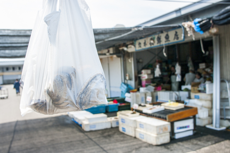 f:id:amano_shintaro:20170521221606j:plain