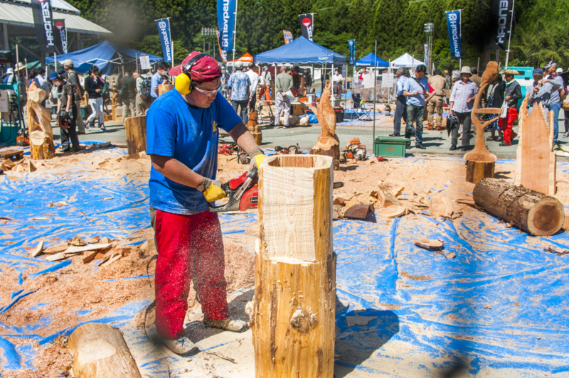 f:id:amano_shintaro:20170528000006j:plain