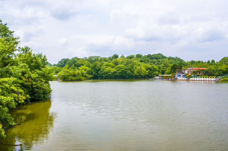 f:id:amano_shintaro:20170625000507j:plain