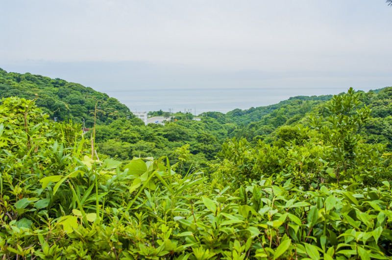 f:id:amano_shintaro:20170705173424j:plain