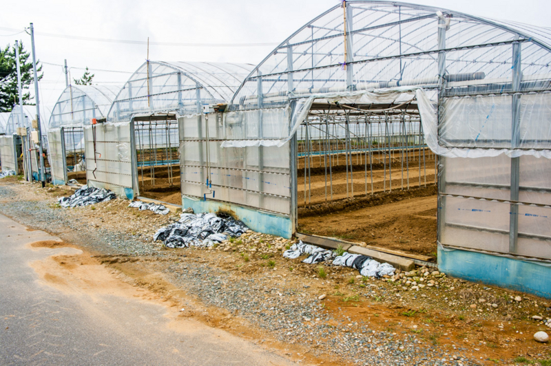 湖西市　農業　証言