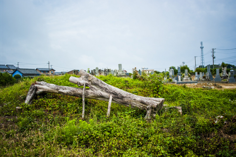 湖西市　オブジェ　流木