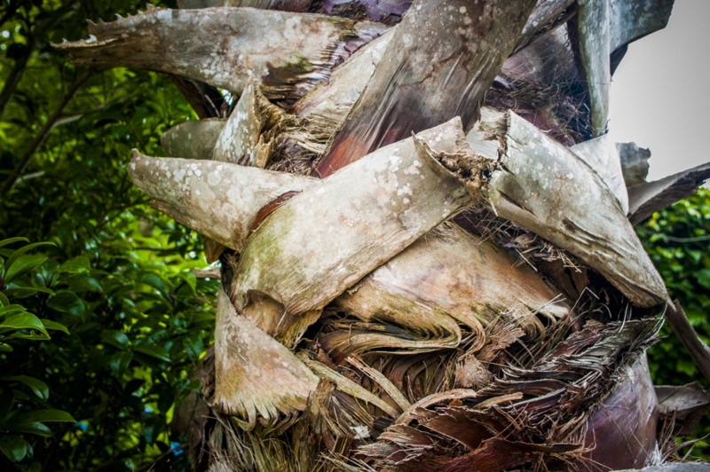 湖西市　袈裟切り地蔵　迷信