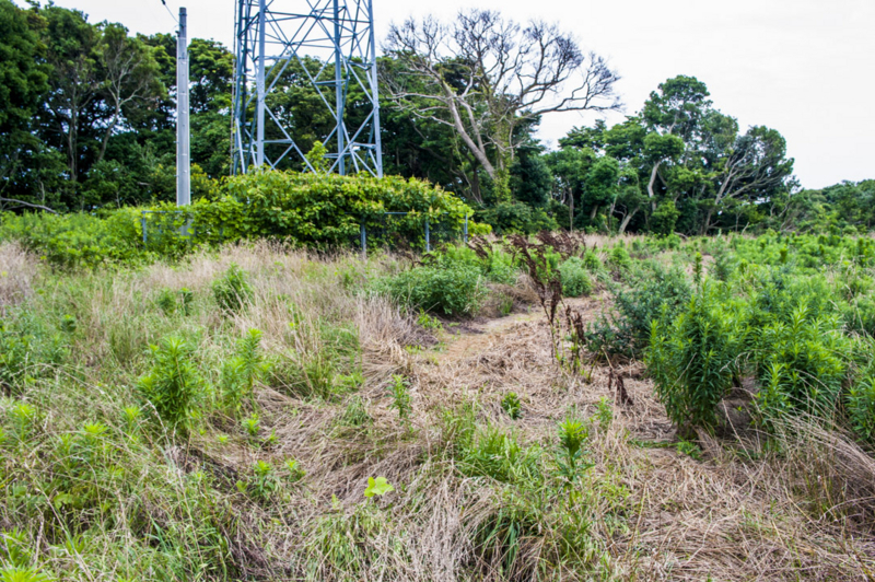 湖西市　伝説　目的地